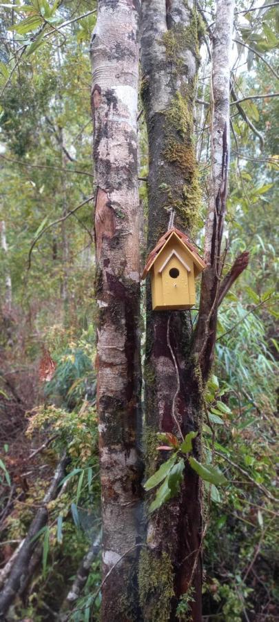Casa de férias Entre Bosque Cabana Alto Puelo Puelo River
